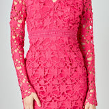 Long Sleeve Lace Mini Dress