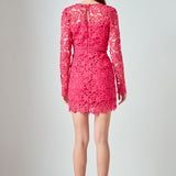 Long Sleeve Lace Mini Dress
