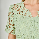 All Over Lace Short Sleeves Midi Dress