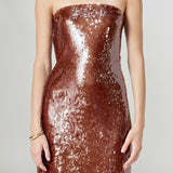 Strapless Sequin Maxi Dress