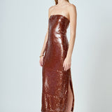 Strapless Sequin Maxi Dress