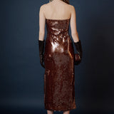 Strapless Sequin Maxi Dress