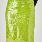 Sequins Lace Detail Midi Skirt