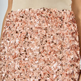 Sequined Mini Skirt