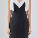 Color Block Mini Dress