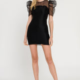 Puffed Sleeve Organza Dress