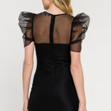 Puffed Sleeve Organza Dress