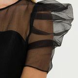 Puffed Sleeve Organza Dress