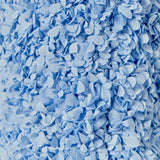 3D Floral Mini Shorts