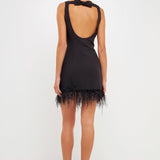 Feather Trim Mini Dress