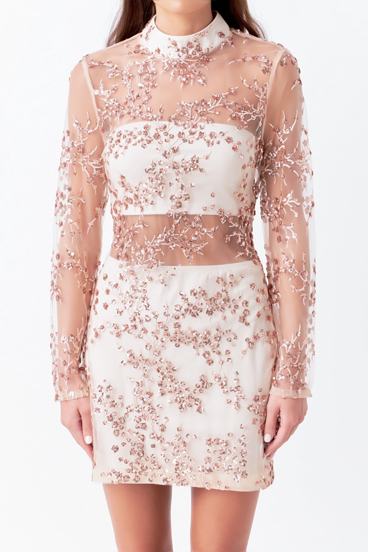 ENDLESS ROSE-Sequins Embroidered Mini Dress-DRESSES available at Objectrare